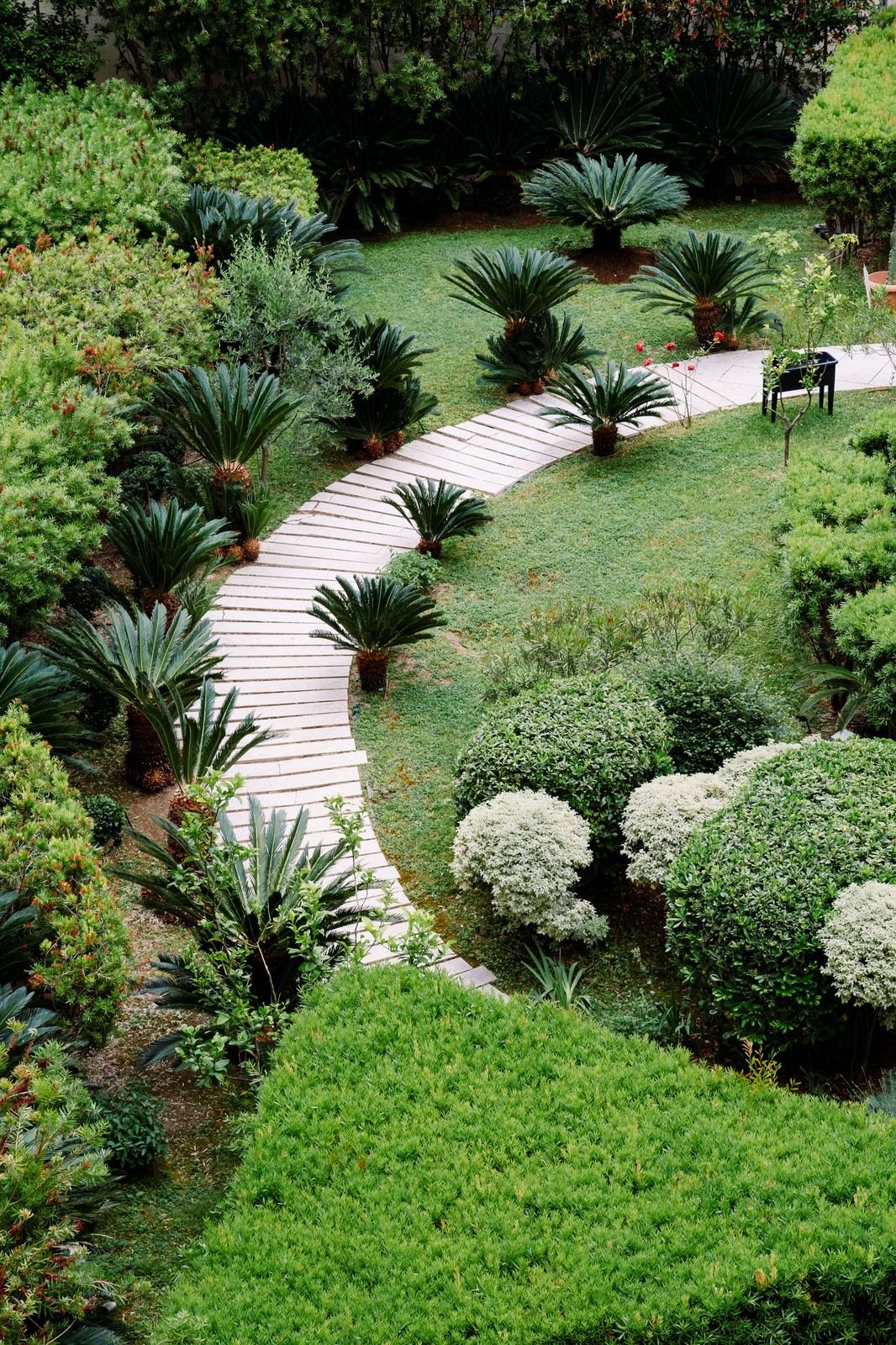 Jardin avec aménagements paysagers à la japonaise